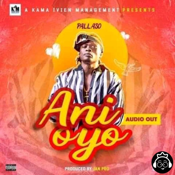 Ani Oyo by Pallaso