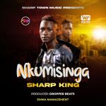 Nkumisinga by Sharp Town Music