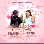 Am In Love Feat. Shakira Shakira by David Lutalo