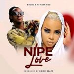 Nipe Love Feat. Nina roz