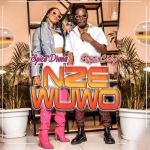 Nze Wuwo by Papa Cidy