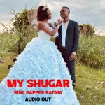 My Shugar  by Artin Pro