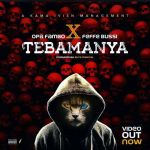 Tebamanya by Opa Fambo