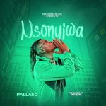 Nsonyiwa by Pallaso