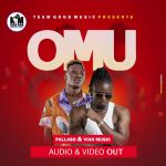 Omu featuring Pallaso by Vian Music