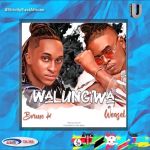 Walungiwa Feat. Bruno K by Radio & Weasel