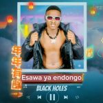 Esawa Ye Ndongo by Black Holes