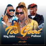 Too Good featuring Pallaso X King Saha