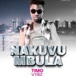 Nakuvumbula by Timo Vybz