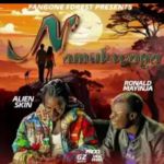 Namukwaya Feat. Ronald Mayinja by Alien Skin