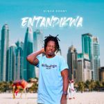 Entandikwa by Nince Henry