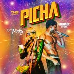 Picha Feat. Pinky by Grenade Official