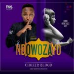 Ndowozayo by Chozen Blood